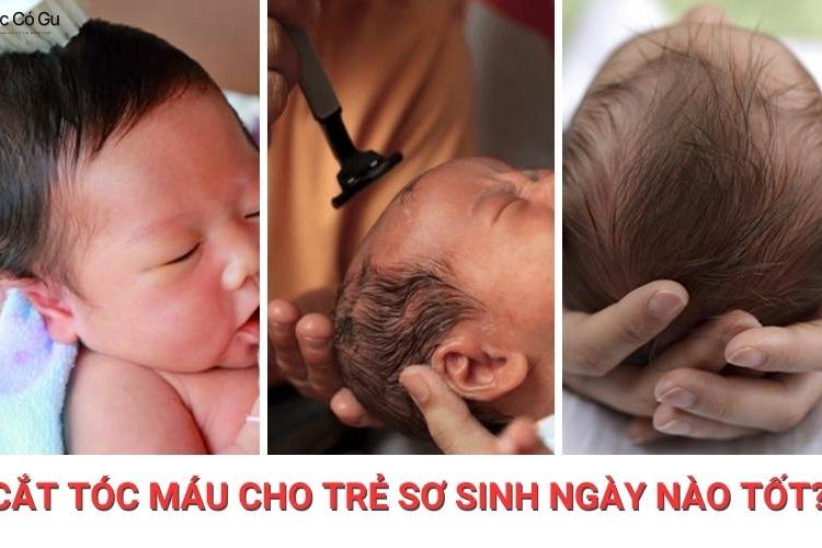 [Giải đáp] Cắt tóc máu cho trẻ sơ sinh ngày nào tốt?