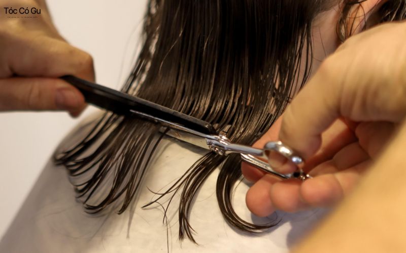 Cắt tóc mùng 1 có sao không? Lỡ cắt rồi thì phải làm sao? Những ngày tốt nên chọn để cắt tóc trong tháng hút tài lộc