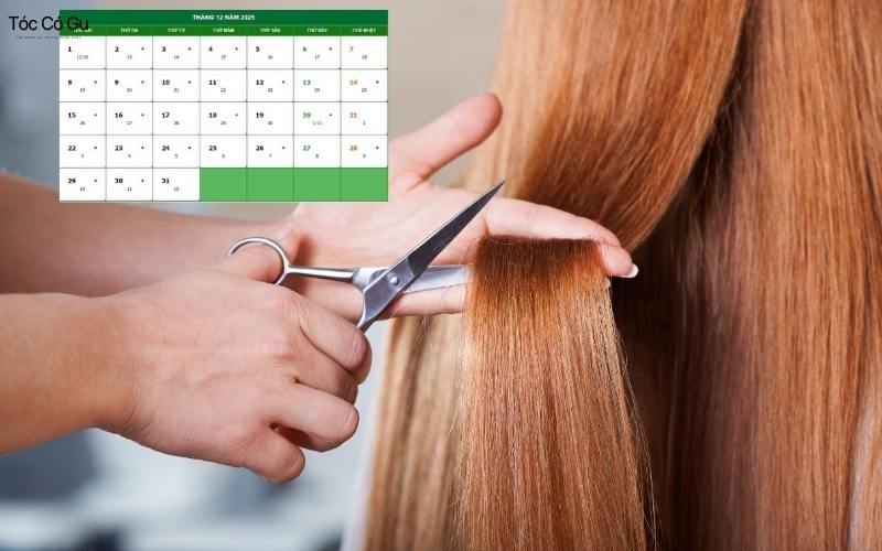 Cắt tóc xả xui có thật không? Gợi ý ngày cắt đổi vận, hút may mắn Một vài điều cần lưu ý khi cắt tóc để xả xui