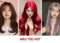 Top 31+ màu tóc hot nhất mọi thời đại, tôn da, không kén mặt