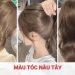 Gợi ý 15 màu tóc nâu tây đẹp tôn da, không cần tẩy hot trend nhất màu tóc nâu tây