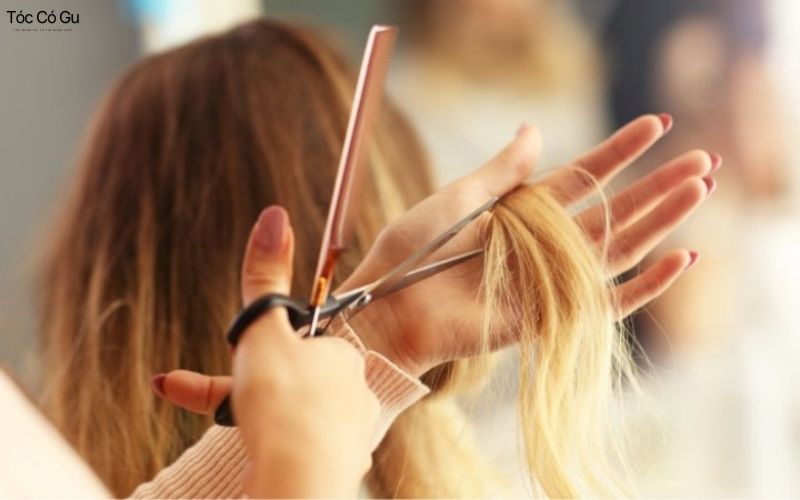 Tổng hợp những ngày không nên cắt tóc theo quan niệm dân gian Trước kỳ thi là một trong số những ngày không nên cắt tóc bạn nên lưu ý