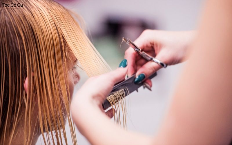 Tổng hợp những ngày không nên cắt tóc theo quan niệm dân gian Chọn những ngày tốt để cắt tóc nhằm đem lại may mắn cho bản thân