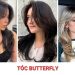 Tóc Butterfly là gì? 10+ kiểu tóc cánh bướm thịnh hành nhất tóc butterfly