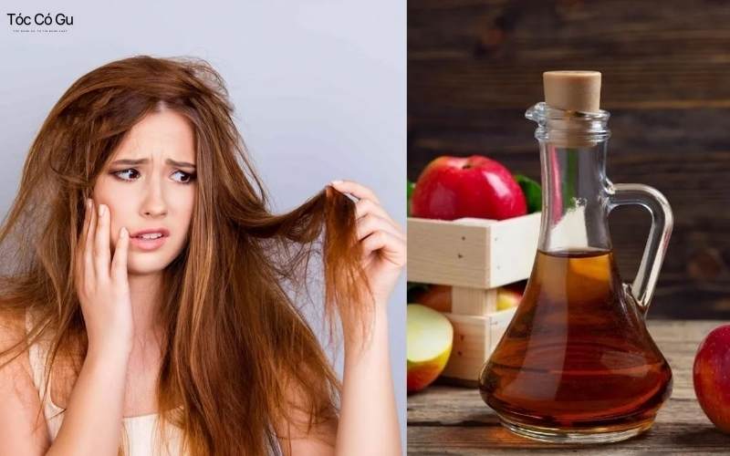 Chăm sóc tóc bông xù: 6 bước giúp tóc giảm khô rối nhanh Tóc dễ bông xù do gen và cả cách chăm sóc