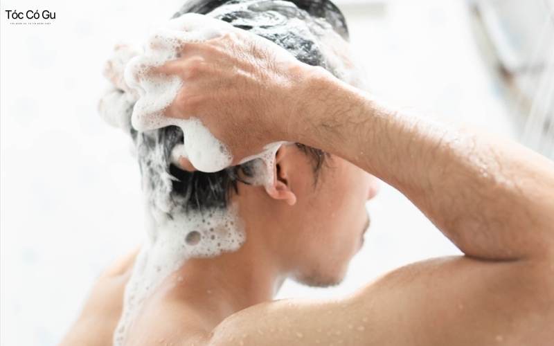 Chăm sóc tóc nam ngay tại nhà, tóc đẹp chuẩn salon cao cấp Chọn loại dầu gội phù hợp cho nam giới