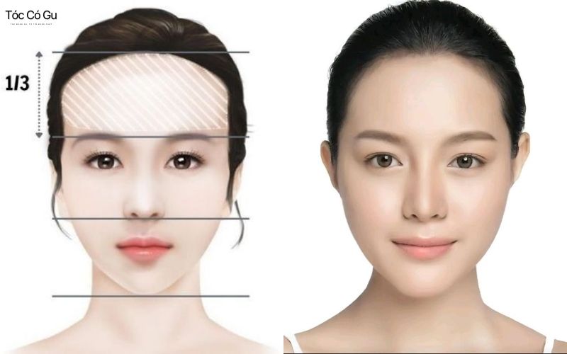 Nữ trán cao để tóc gì đẹp? Gợi ý 12+ kiểu tóc giúp che khuyết điểm Ảnh mô tả nữ có vầng trán cao