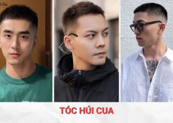 tóc húi cua