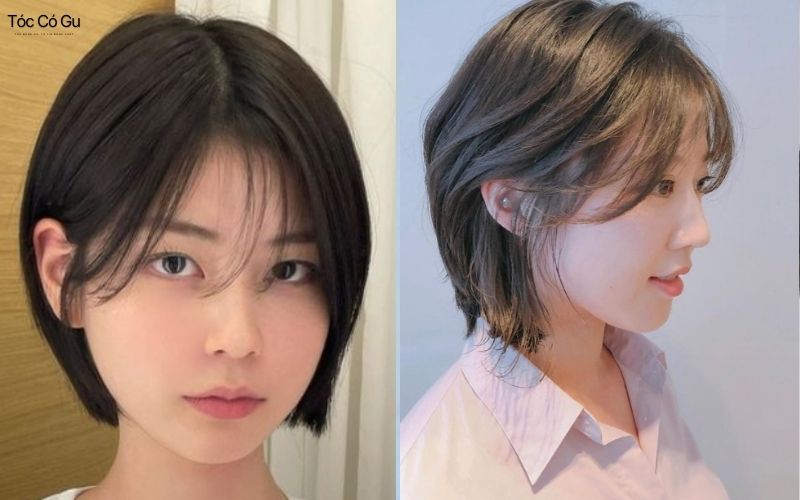 Nữ trán cao để tóc gì đẹp? Gợi ý 12+ kiểu tóc giúp che khuyết điểm Kiểu tóc Pixie kết hợp tóc mái