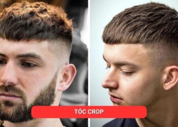 tóc crop