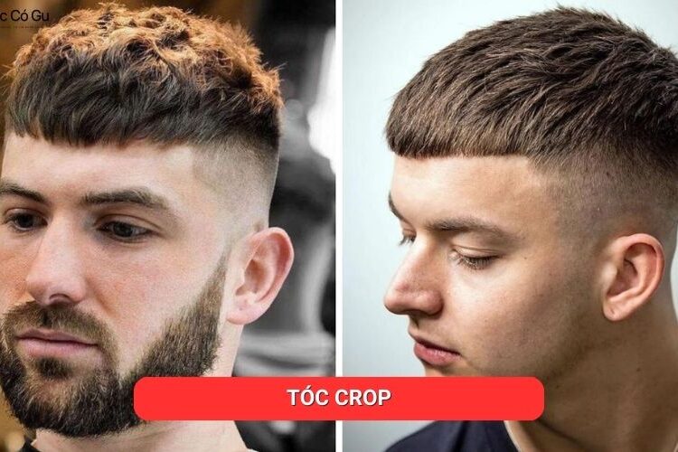 tóc crop