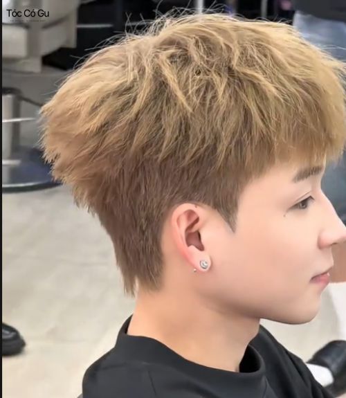 Cách chọn kiểu tóc nam theo chất tóc chuẩn xác giúp hợp mặt hơn Nam giới có chất tóc mềm, mỏng nên để kiểu tóc Layer Bowl Cut