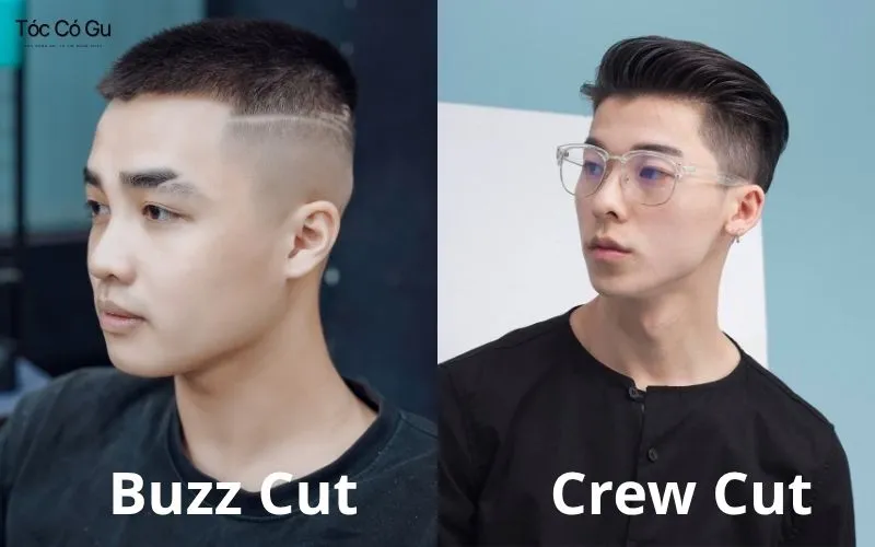 Sự khác biệt giữa kiểu tóc nam Buzz Cut và Crew Cut