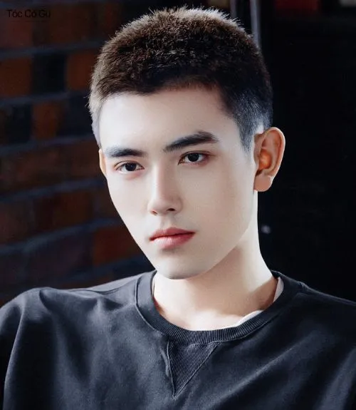 Một chàng trai châu Á với kiểu tóc crew cut ngắn và sắc nét