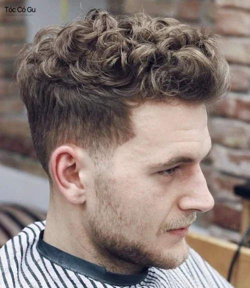 Kiểu tóc Messy Curly Quiff