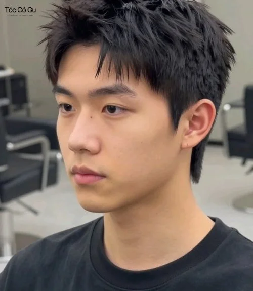 Kiểu tóc Faux Hawk