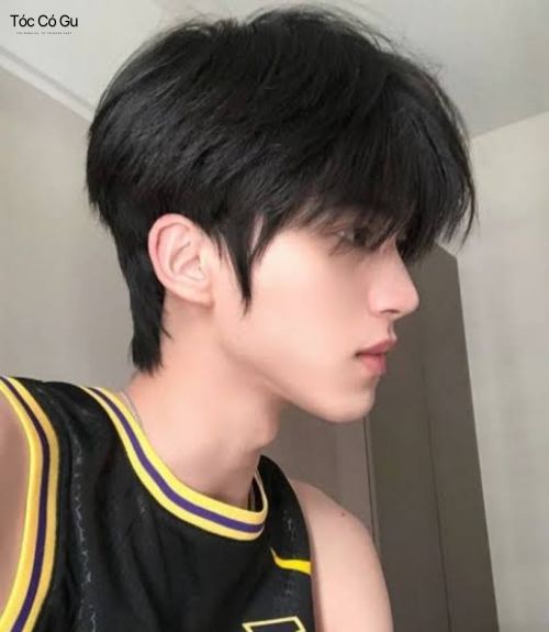10+ kiểu tóc Pixie nam đẹp giúp nam giới thêm cuốn hút Tóc Pixie nam dài đuôi