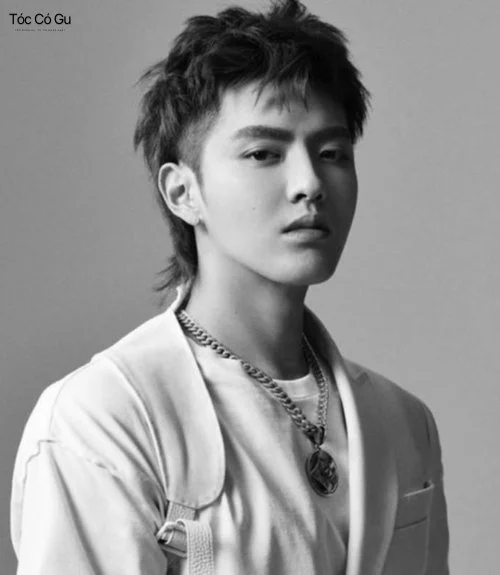 10+ Kiểu tóc nam Retro cổ điển, lịch lãm không lỗi mốt Mullet Retro