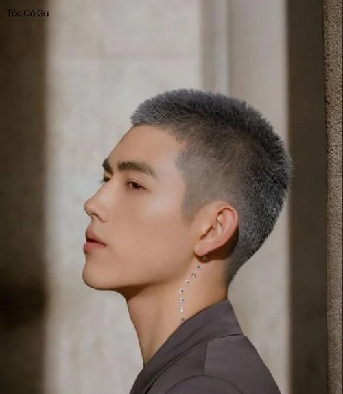 10+ Kiểu tóc nam Retro cổ điển, lịch lãm không lỗi mốt Tóc Buzz Cut Retro