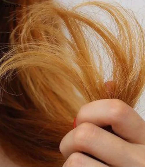 Tóc chẻ ngọn có nên cắt không? Khi nào nên cắt và gợi ý kiểu tóc phù hợp Cắt tỉa tóc chẻ ngọn giúp tóc khỏe và gọn hơn