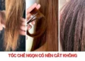 Tóc chẻ ngọn có nên cắt không? Khi nào nên tỉa để tóc khỏe đẹp
