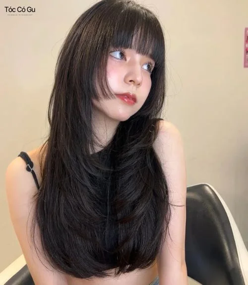 Nữ tóc dày nên để kiểu gì? 12 kiểu tóc đẹp, hot trend nhất Chăm sóc tóc dày đúng cách để luôn mềm mượt, vào nếp tự nhiên