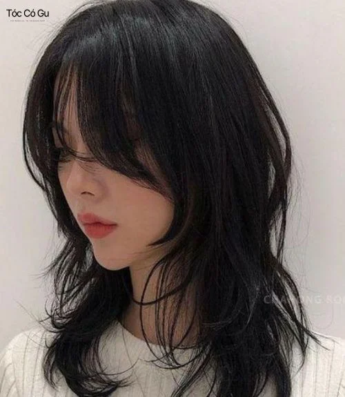 Nữ tóc dày nên để kiểu gì? 12 kiểu tóc đẹp, hot trend nhất Tóc wolf cut cá tính dành cho mái tóc dày
