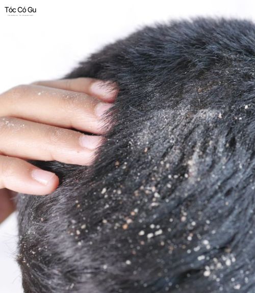 Có nên để sáp vuốt tóc qua đêm?