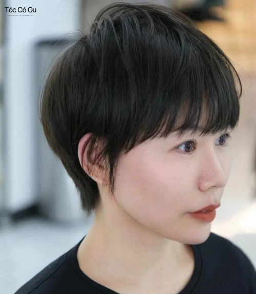 Kiểu tóc tém trung niên