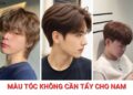 Top 10 màu tóc không cần tẩy cho nam siêu đẹp, sáng da, cực cháy màu tóc không cần tẩy cho nam
