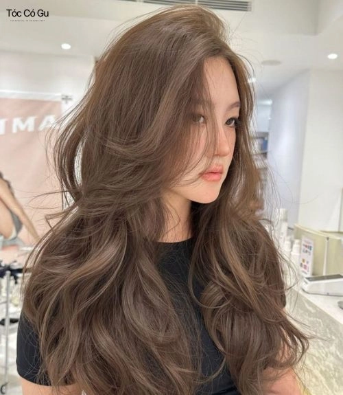Màu tóc nâu lạnh thanh lịch, hiện đại, phù hợp với nhiều phong cách