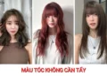 10+ màu tóc không cần tẩy sáng da, thời thượng và dễ chăm sóc
