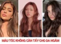 15+ màu tóc không cần tẩy tôn da ngăm, dễ nhuộm và chăm sóc