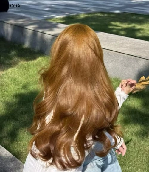 15+ màu tóc không cần tẩy cho da ngăm tôn da, siêu đẹp Nâu ánh đồng không tẩy, thêm điểm nhấn cho da ngăm